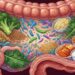 Bactérias intestinais e os alimentos que ajudam a manter a saúde digestiva