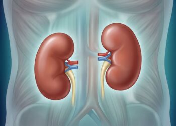 De quais nutrientes os rins precisam para funcionar bem e em quais alimentos eles são encontrados?