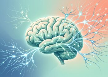 De quais nutrientes o cérebro precisa para se recuperar do estresse e em quais alimentos eles são encontrados?