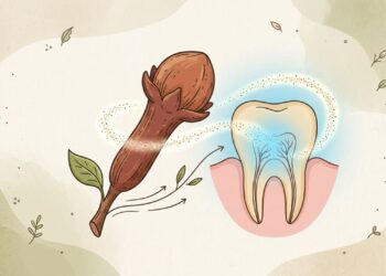 Qual é a planta que ajuda a tratar a dor de dente e a inflamação em curto prazo
