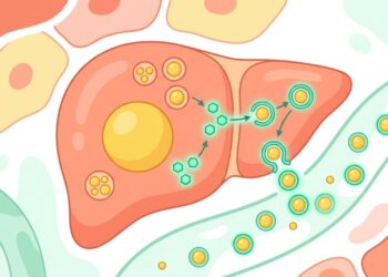 O melhor nutriente para proteger o fígado e reduzir o risco de esteatose hepática a longo prazo