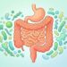 Os oito erros alimentares que desequilibram a microbiota intestinal e como evitá-los