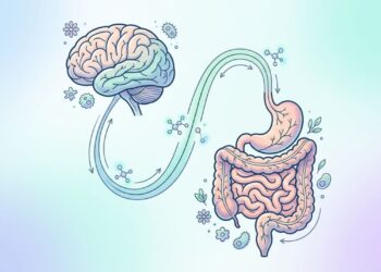 O sistema digestivo é o nosso segundo cérebro por uma razão simples