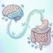 O sistema digestivo é o nosso segundo cérebro por uma razão simples