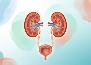 De quais nutrientes os rins precisam para funcionar melhor e em quais alimentos eles são encontrados?