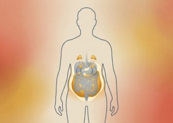 O estresse crônico desempenha um papel decisivo no acúmulo de gordura abdominal e na resistência à insulina