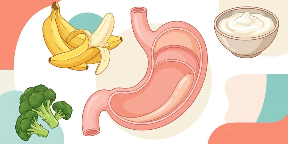 Alimentos que ajudam no esvaziamento gástrico e protegem o estômago