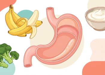 Alimentos que ajudam no esvaziamento gástrico e protegem o estômago