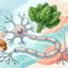 O que comer para recuperar o sistema nervoso: os principais nutrientes e onde encontrá-los