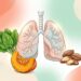 Quais nutrientes os pulmões precisam para se defender e onde encontrá-los na alimentação