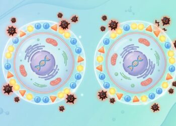 Os melhores antioxidantes para a saúde das células e como retardar o envelhecimento celular com nutrição