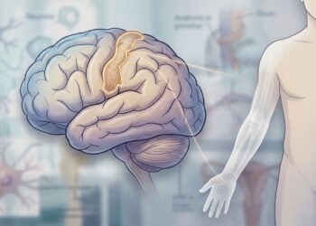 Novas pesquisas sobre membros fantasmas indicam que estivemos enganados durante décadas sobre como o cérebro reage a uma amputação