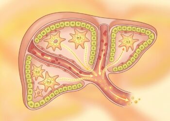 A falta de vitamina A não se deve ao baixo consumo de cenoura, mas sim a problemas no fígado que impedem seu armazenamento
