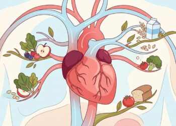 A pressão arterial pode ser reduzida sem medicamentos: 7 alimentos que você deve consumir mais