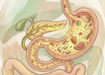 Como o uso de enzimas digestivas antes de refeições pesadas afeta o pâncreas e previne o desconforto abdominal de longo prazo