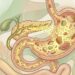 Como o uso de enzimas digestivas antes de refeições pesadas afeta o pâncreas e previne o desconforto abdominal de longo prazo