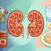 Quais alimentos sobrecarregam os rins sem você perceber, e como substituí-los no dia a dia