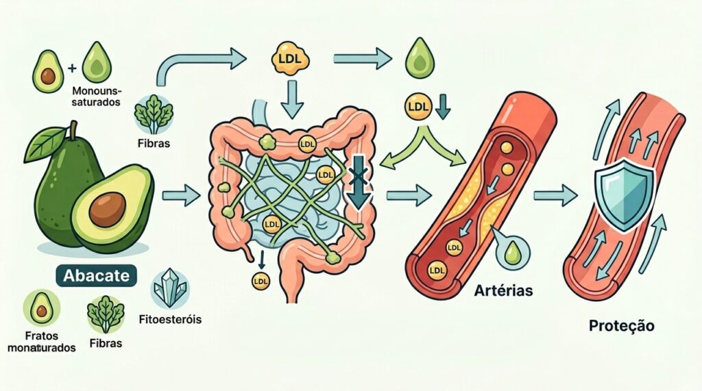 O abacate traz benefícios para pacientes com colesterol alto?
