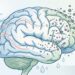A névoa mental persistente não se deve apenas ao cansaço, mas sim à inflamação cerebral causada por privação de sono e excesso de estímulos digitais