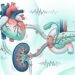 Sono ruim pode acelerar a progressão de doenças cardio-renais-metabólicas, aponta estudo recente