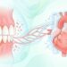 Saúde cardiovascular: a conexão entre o coração, a saúde bucal e a inflamação sistêmica