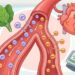 A pressão alta nos adultos não se deve somente pelo excesso de sal na dieta, mas sim ao baixo consumo diário de potássio, que equilibra o sódio dentro das células do corpo