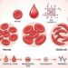 Quais são os tipos menos conhecidos de anemia e como identificar os sinais de alerta?