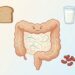 Inchaço abdominal persistente: quando o problema pode estar na digestão, não só no glúten