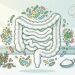 Intestino em proteção. Como manter a microbiota equilibrada todos os dias