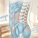 Os 3 exercícios que a ciência recomenda para combater a dor lombar e a má postura são: prancha, alongamento e…