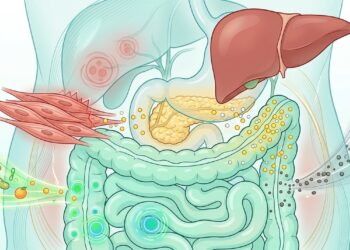 O que acontece com o risco de diabetes quando ultraprocessados entram todos os dias no prato