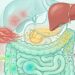 O que acontece com o risco de diabetes quando ultraprocessados entram todos os dias no prato
