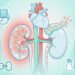Por que pressão alta e diabetes juntos aceleram o risco de doença renal sem dar aviso