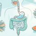 Qual a quantidade de água que deve ser consumida diariamente para manter um sistema digestivo saudável?