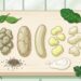 Aspecto das fezes: o que ele revela sobre sua saúde e os principais alimentos para cuidar do seu intestino