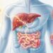A falta de vitamina D no organismo não se deve à falta de sol, mas sim a problemas digestivos crônicos como inflamação intestinal ou irritação do fígado
