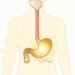 Como diferenciar gastrite de refluxo gastroesofágico segundo os gastroenterologistas