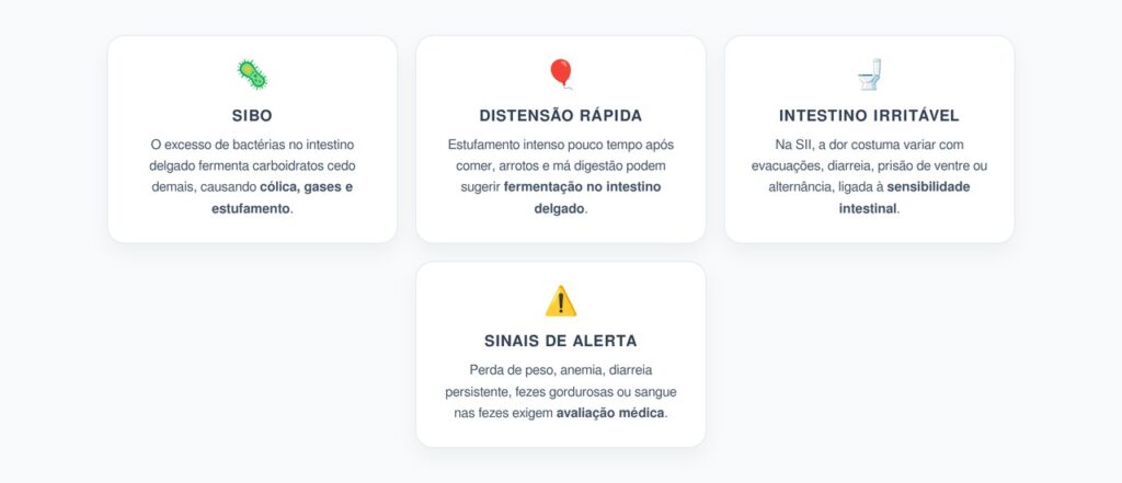 Dor Abdominal por SIBO ou Intestino Irritável: Como Diferenciar os Sinais
