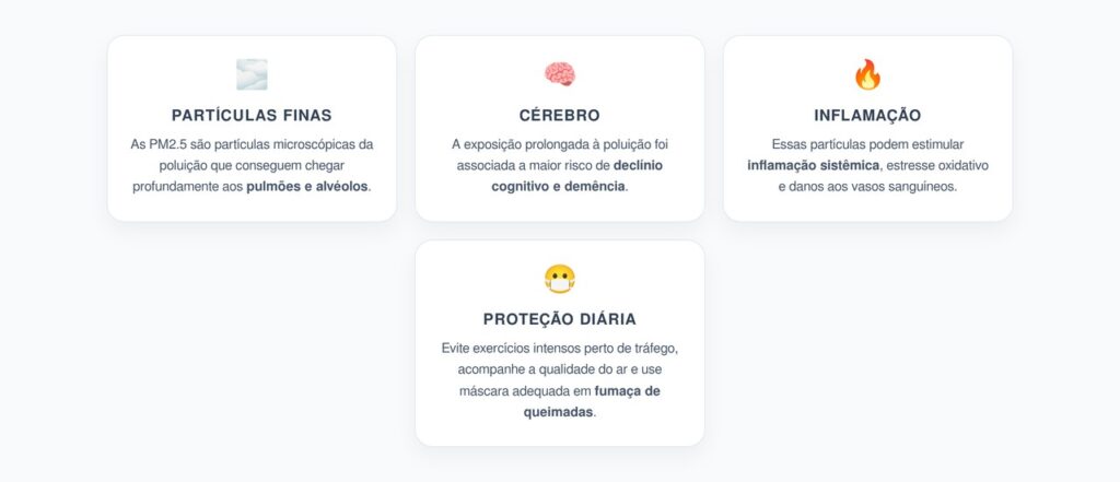 PM2.5 no Cérebro: Como a Poluição Pode Acelerar o Declínio Cognitivo