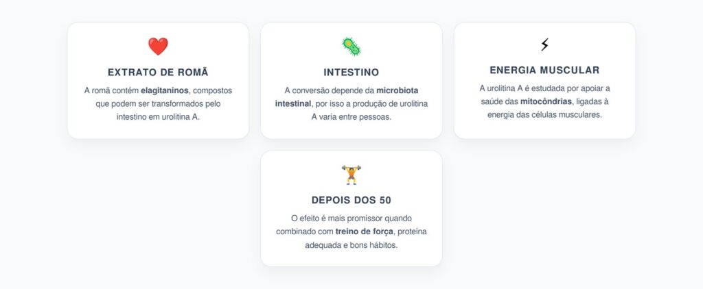 Romã e Urolitina A: Energia Muscular e Mitocôndrias Depois dos 50
