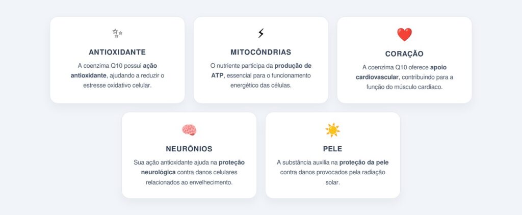 Quais são as principais propriedades?