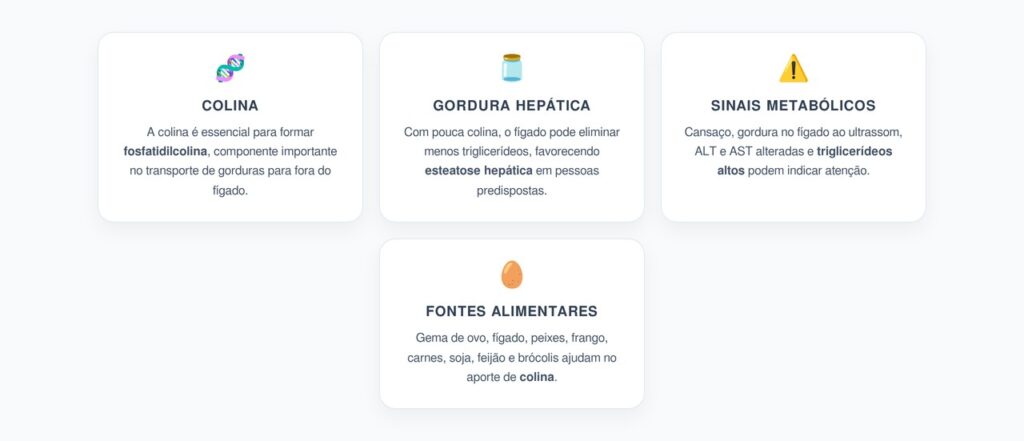 Colina e Gordura no Fígado: O Nutriente Essencial para Eliminar Triglicerídeos