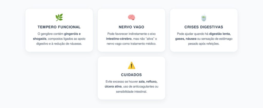 Gengibre e Intestino Irritável: Apoio Digestivo Natural para Reduzir Crises
