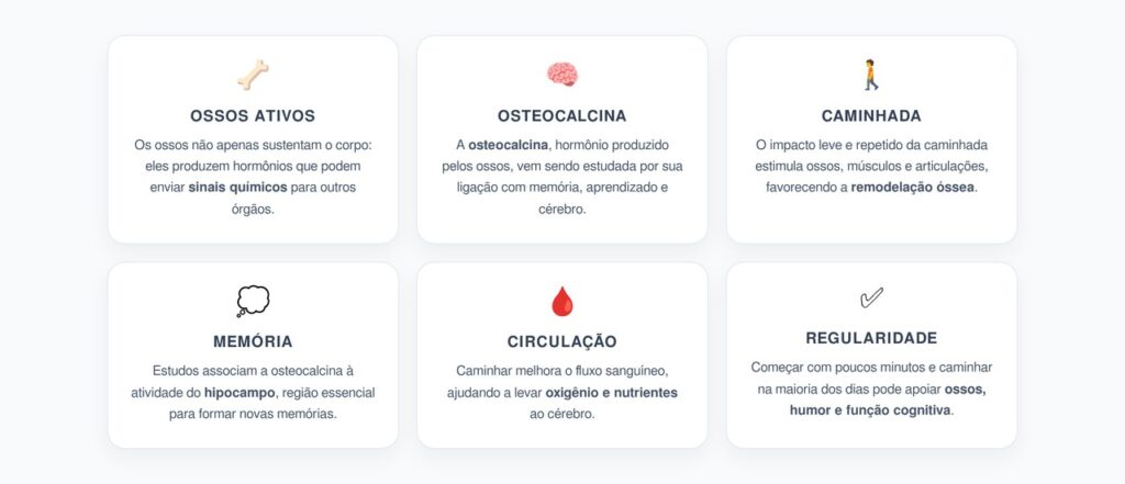 Ossos e Cérebro: Como a Caminhada Pode Ajudar a Proteger a Memória