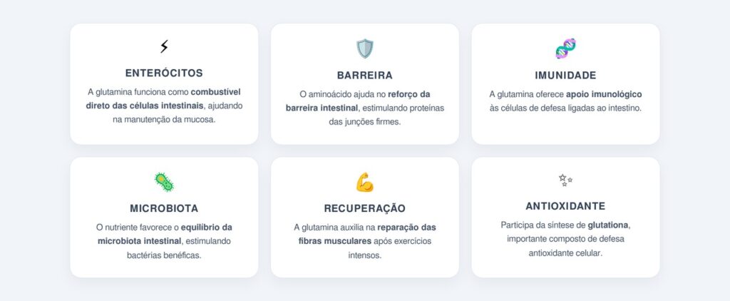 Quais são as principais propriedades?
