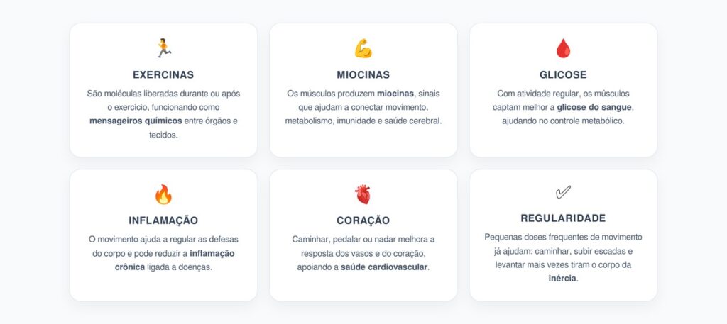 Exercinas: Os “Remédios Naturais” que o Corpo Libera com o Movimento