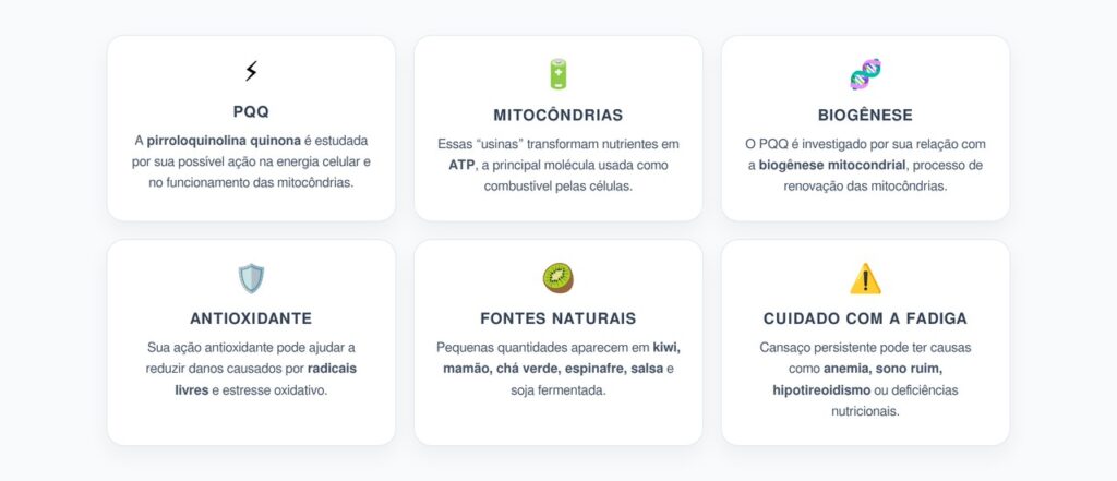 PQQ: O Suplemento Ligado às Mitocôndrias e à Energia Celular