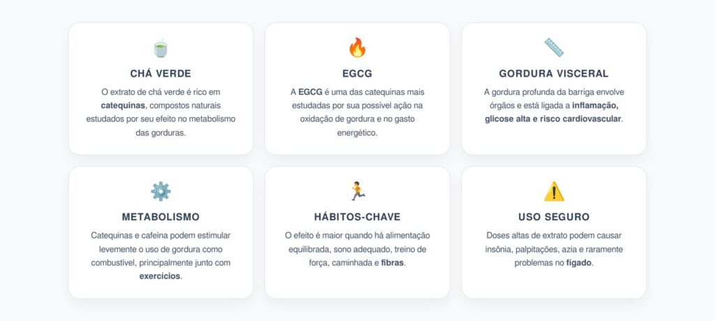 Catequinas do Chá Verde: O Extrato Natural Ligado à Gordura Visceral