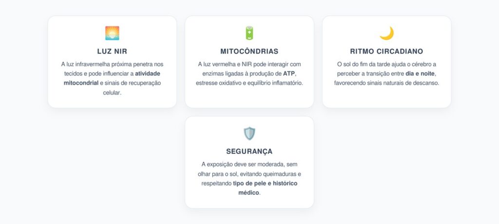 Luz NIR e Mitocôndrias: Como o Sol do Fim da Tarde Pode Apoiar o Reparo Celular
