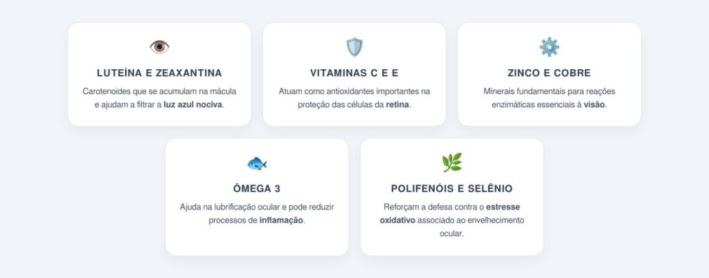 Quais nutrientes são considerados essenciais para a retina?